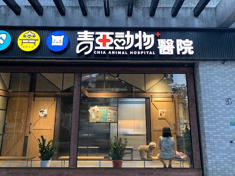 青亞動物醫院
