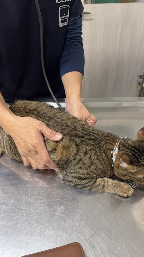 弘光動物醫院