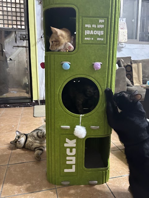 振生動物醫院