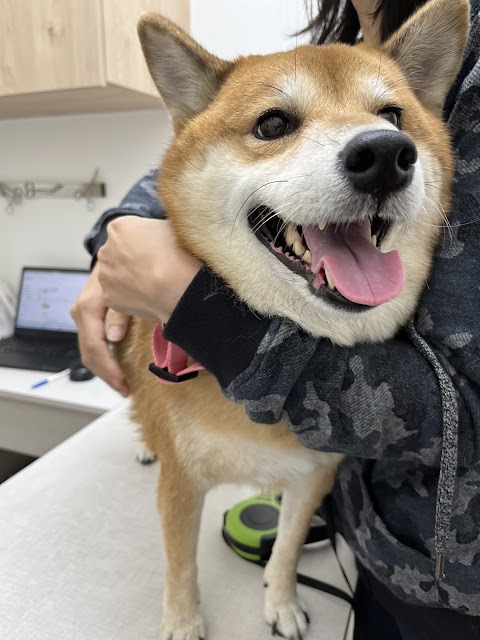 好牙動物醫院