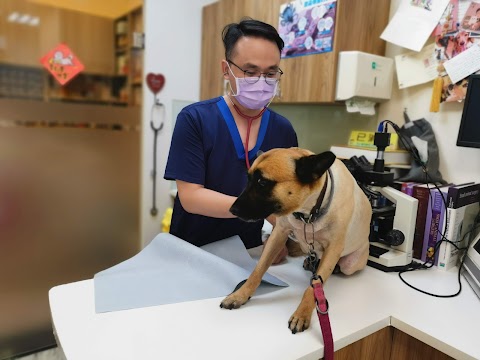 依努動物醫院