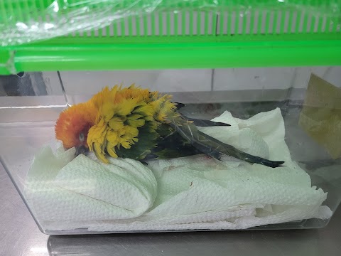 凡賽爾動物醫院