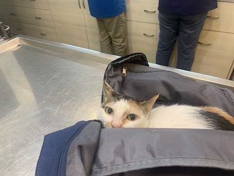 佳護動物醫院