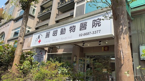 麗明動物醫院