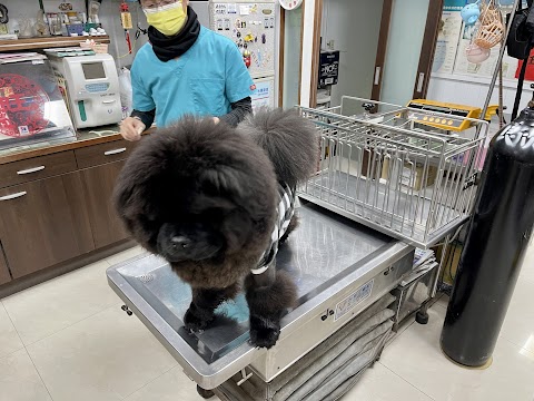 嘉仁動物醫院