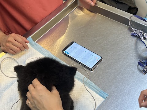 祥霖動物醫院
