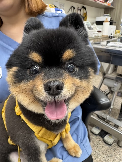 忠信動物醫院