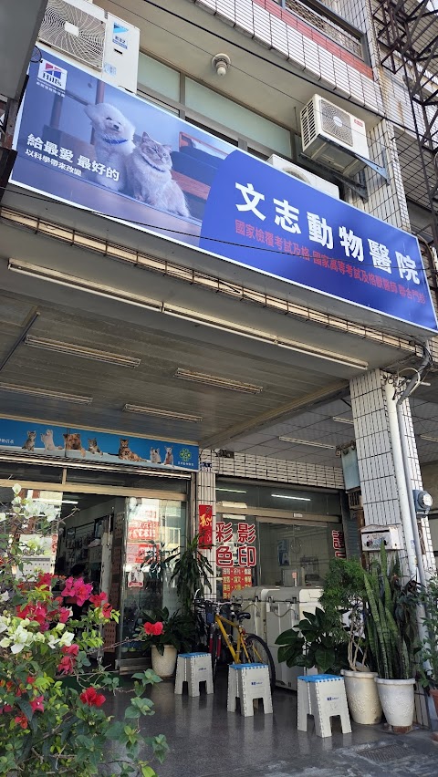 文志動物醫院