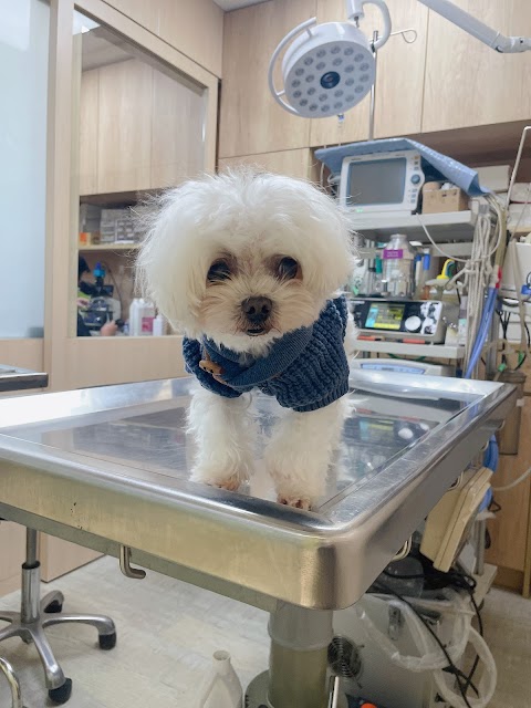 維尼動物醫院