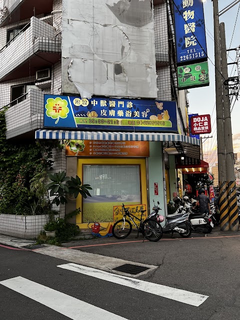 迦南動物醫院