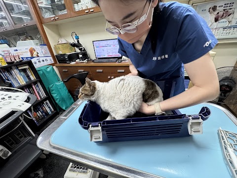 國際犬貓醫院