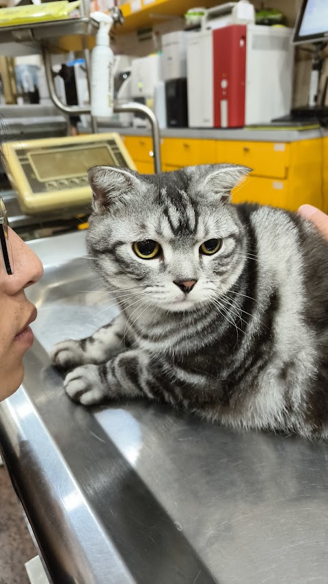 永安動物醫院