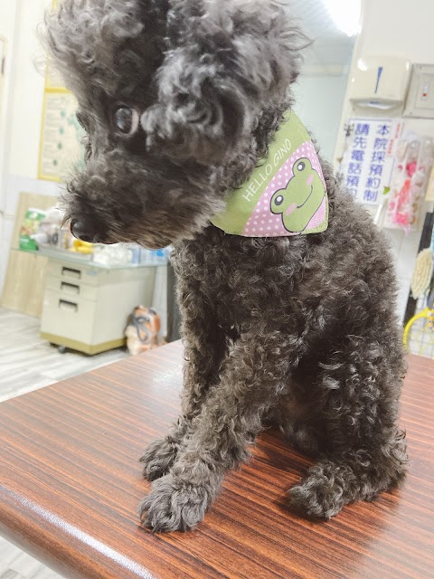 弘苑動物醫院