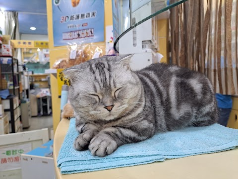 建國動物診所