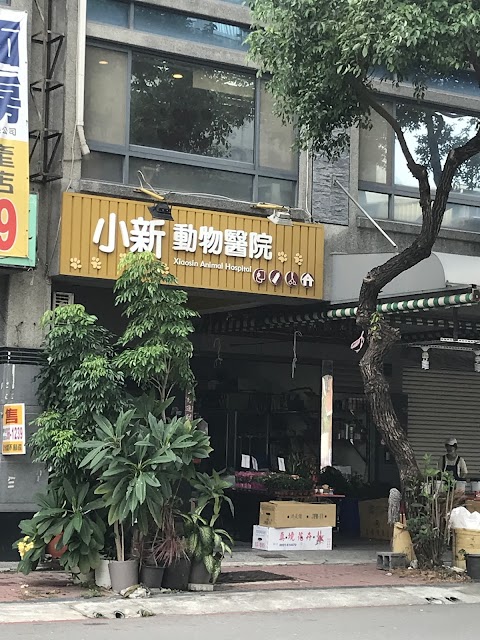 小新動物醫院