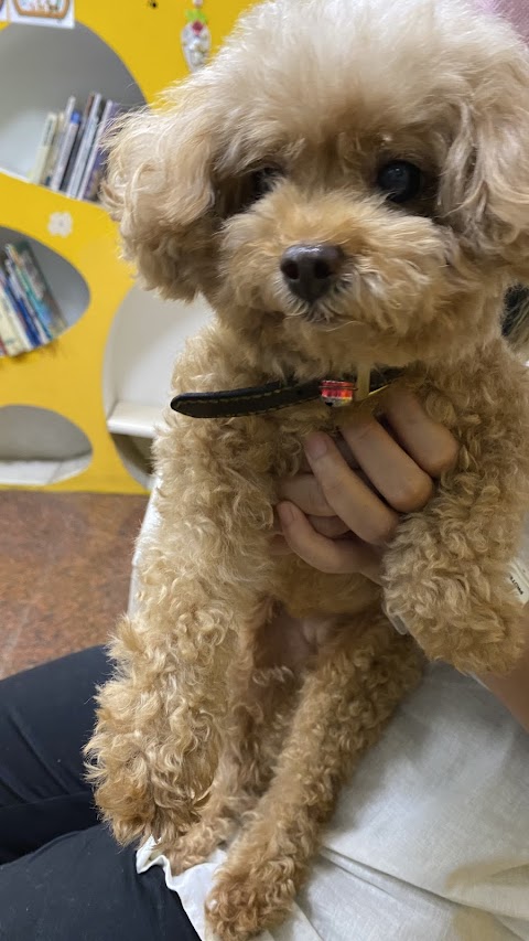 超群動物醫院