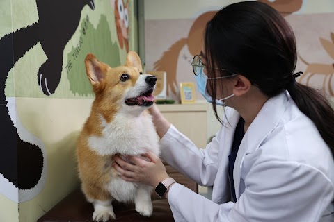 聯盟動物醫院