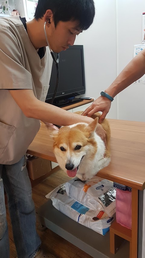 貝斯特動物醫院