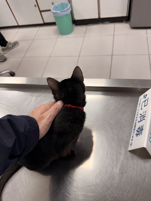 聖愛動物醫院