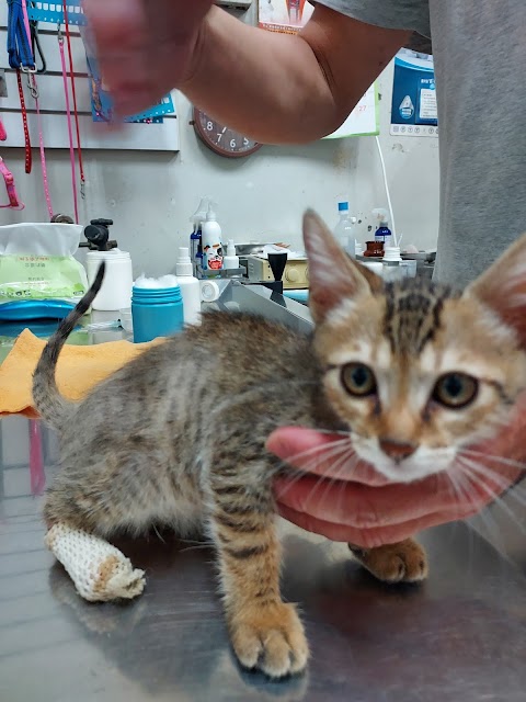 嘉基動物診所
