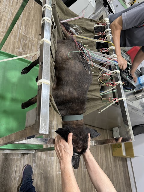 人人動物醫院