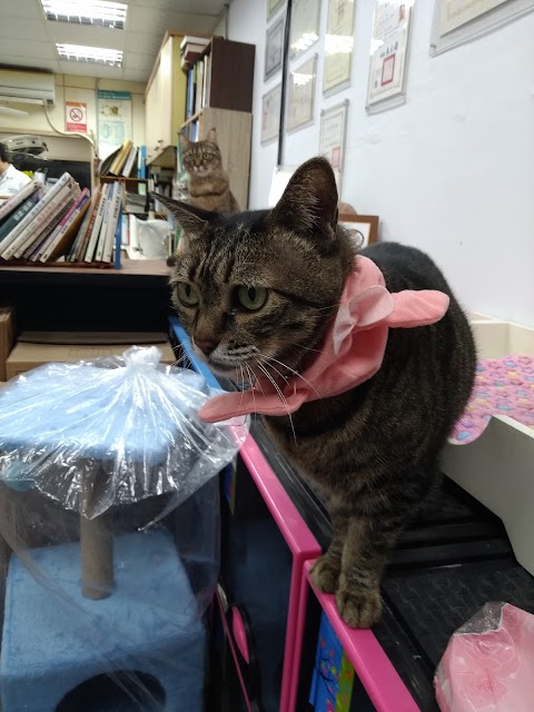 馥御動物醫院