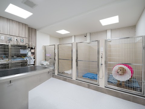小王子動物醫院