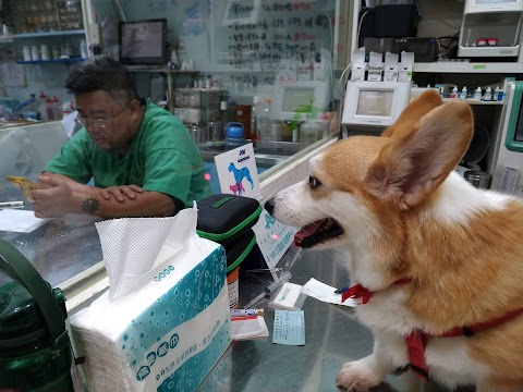 台大長鴻動物醫院