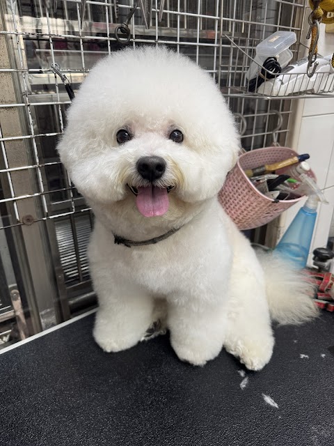 鴻愛動物醫院