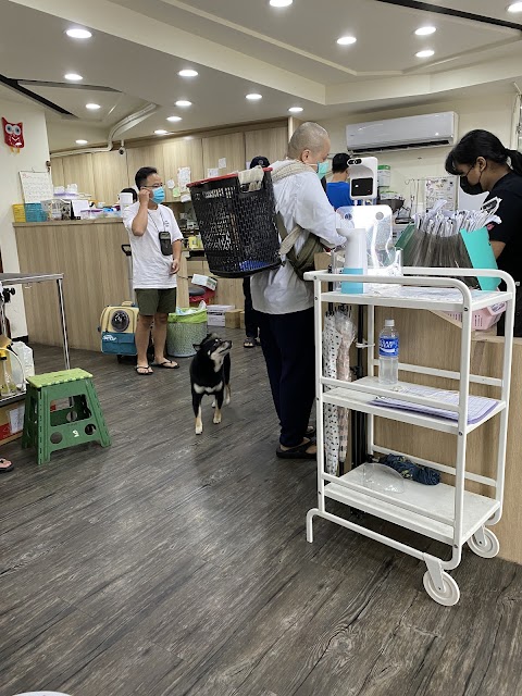 慈恩動物醫院