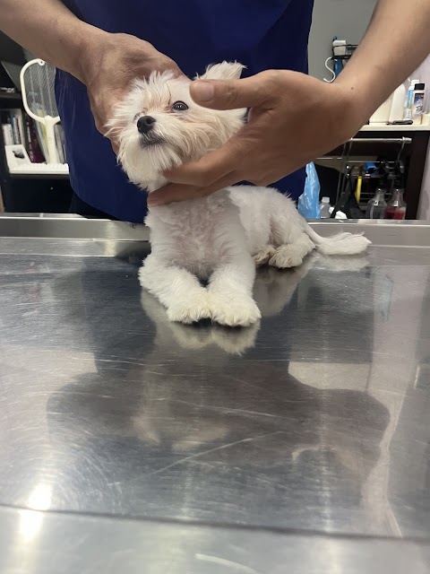 佳禧動物醫院