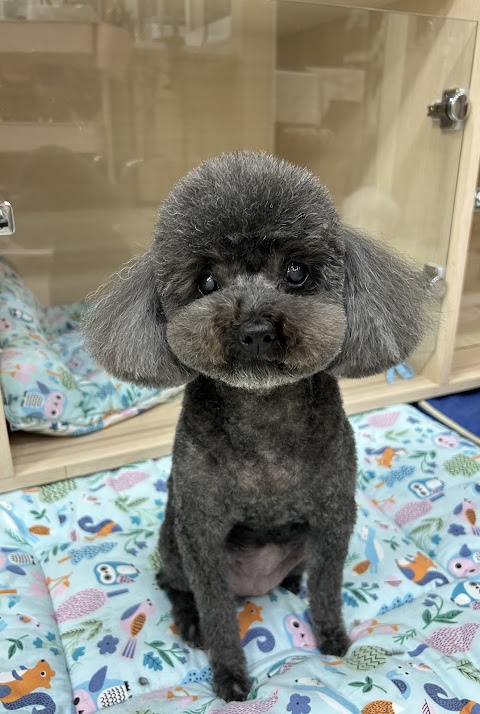 中興動物醫院