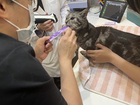 依視界動物醫院