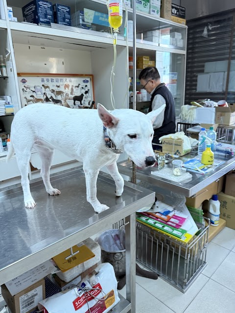 南陽獸醫院